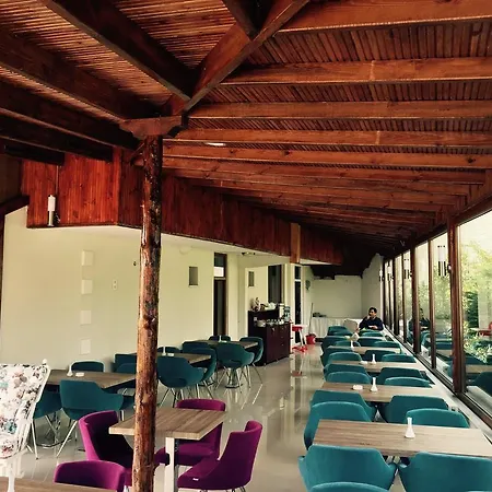 Flora Hotel&suites *